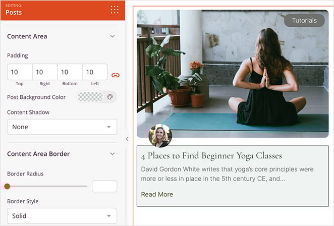 advanced-posts-block-settings - SeedProd Advanced posts block customization settings for content area