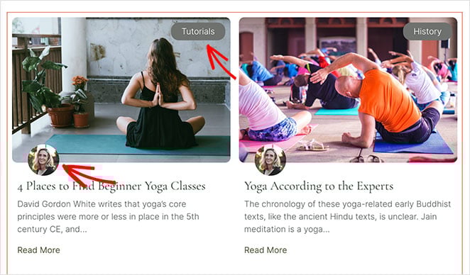 card-skin-styles - SeedProd Card Skin styles