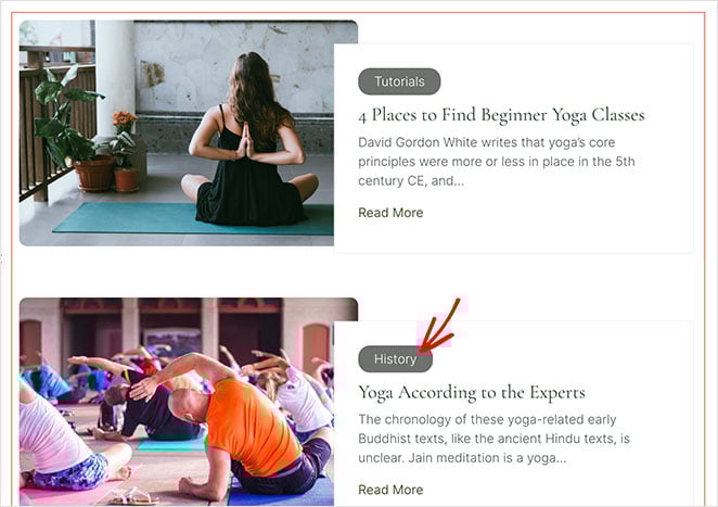 creative-skin-style - SeedProd Creative Skin style