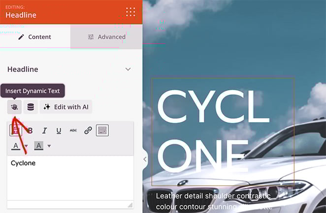 insert-dynamic-text - SeedProd Insert dynamic text in SeedProd website builder