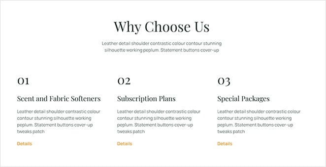 laundry-services-website-section - SeedProd Laundry services website kit section