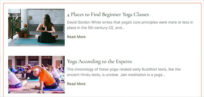 minimal-skin-style - SeedProd Minimal skin style