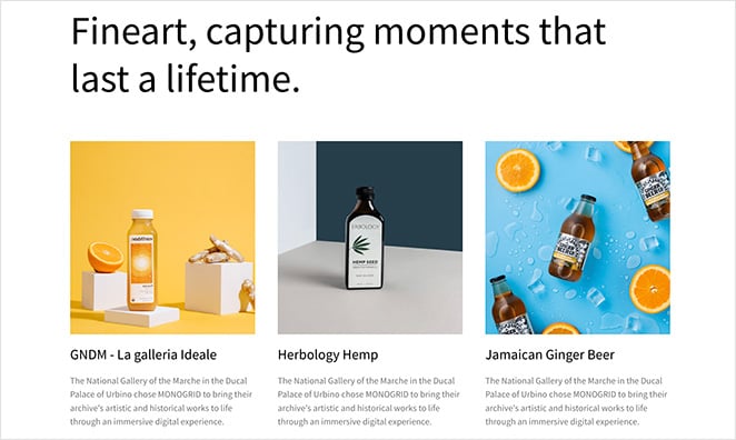 photography-website-kit - SeedProd SeedProd photography website template kit