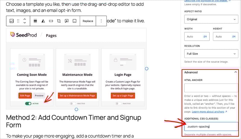 WordPress-block-css-classes - SeedProd