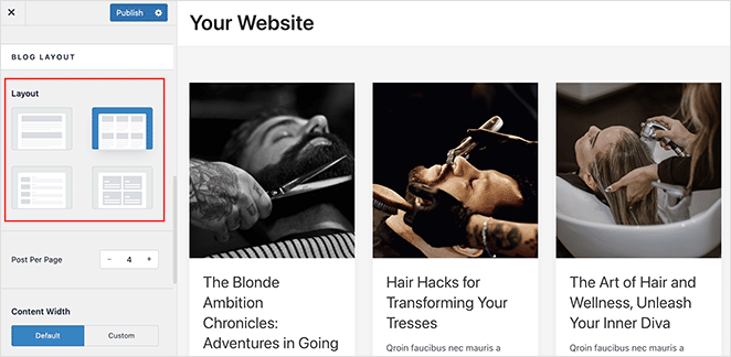 astra-theme-blog-layout-options - SeedProd Astra theme customization options