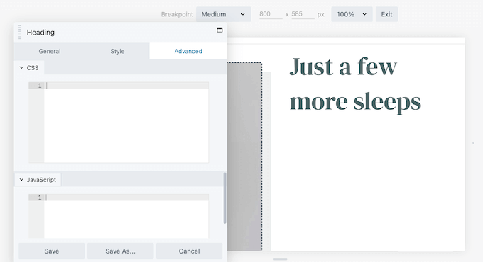 Beaver Builder advanced styling with custom code