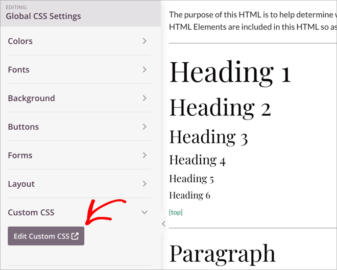 Edit Custom CSS button in SeedProd Global CSS Settings