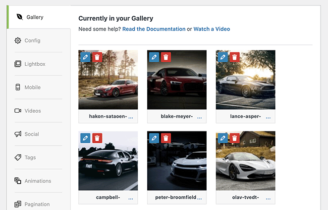 Envira Gallery Settings