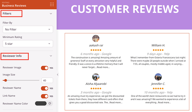 filters-reviewer-info - SeedProd Business review filters and reviewer info settings