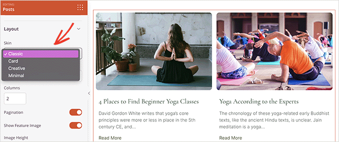 posts-block-skin-styles - SeedProd Posts block Skin styles
