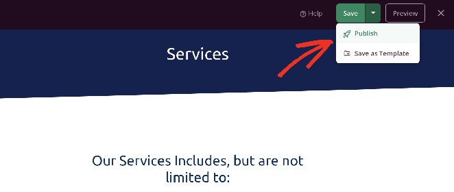 publish-services-page - SeedProd Click publish to launch your WordPress service page