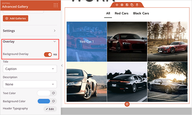 WordPress gallery overlay options
