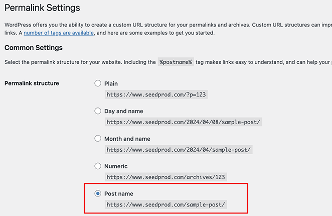 WordPress-permalinks-settings - SeedProd WordPress permalinks settings